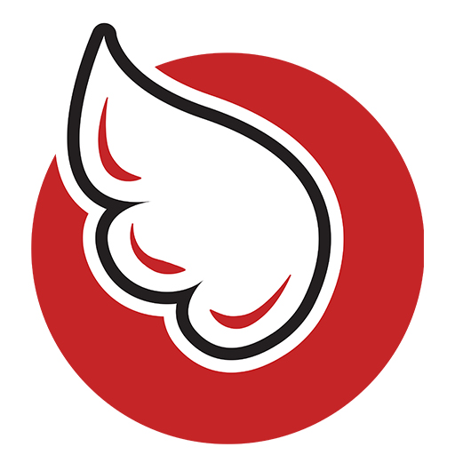 InstaMoola logo