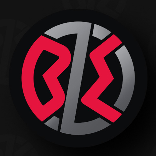Bzm Motors logo