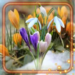 Cover Image of Скачать Early Spring Day  APK