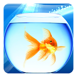Gold Fish Live Wallpaper icon