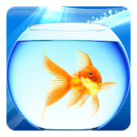 水槽金魚ライブ壁紙のおすすめアプリ Android Applion