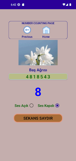 Sayı Sekansları Screen 2