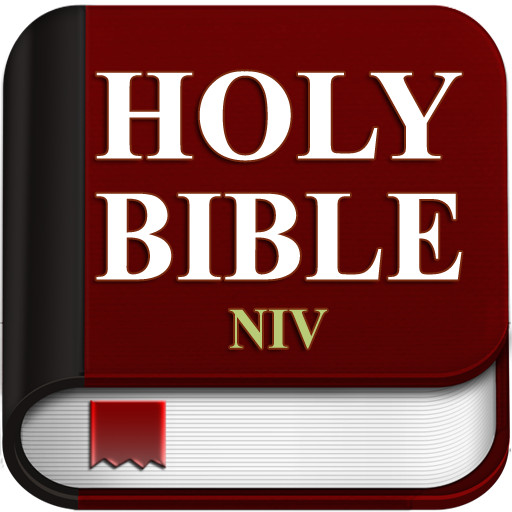 Niv study bible download free 星漢燦爛 bt download