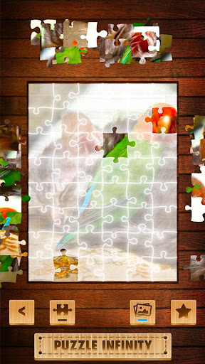 Animal Jigsaw Puzzles