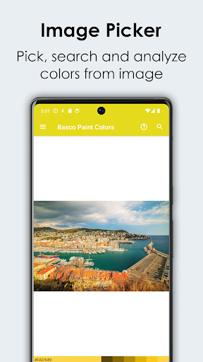 Basco Paint Colors Screen 2
