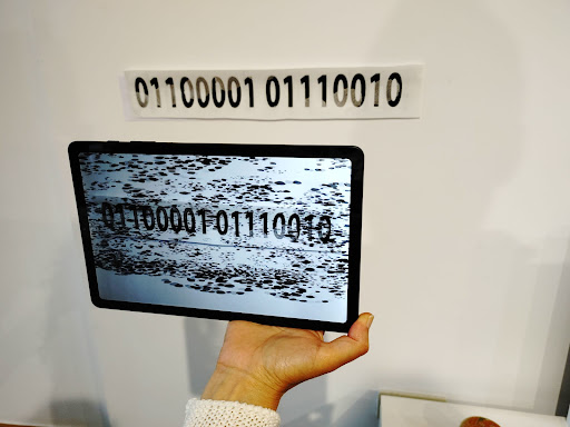 Binary Flight Screen 2