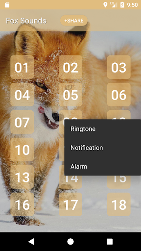 Fox Sounds and Ringtone Screen 2