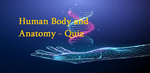 Human Body and Anatomy - Quiz