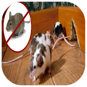 Top 40 Entertainment Apps Like get rid of Mice House - Best Alternatives