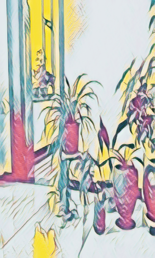 美颜相机 - v45.1.0