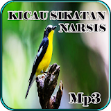 Kicau Sikatan Narsis Gacor Mp3 icon