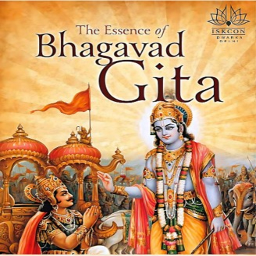 Bhagavat Gita problem solver