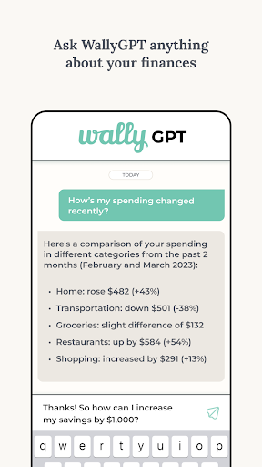 Wally: AI Personal Finance Screen 3
