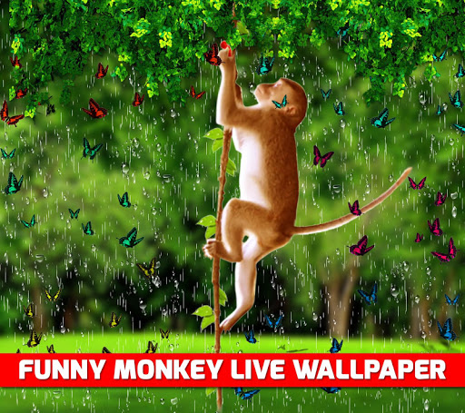 Funny Monkey Live Wallpaper
