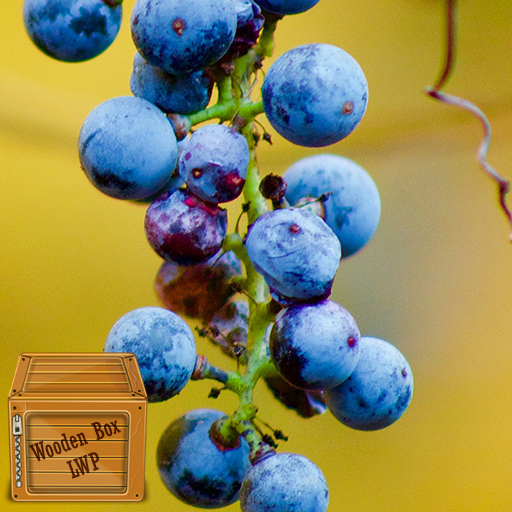 grape wallpaper logo