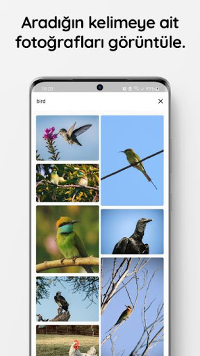 Android application Imagery screenshort