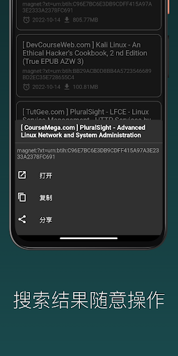 闪电磁力-Magnet和BT种子搜索工具