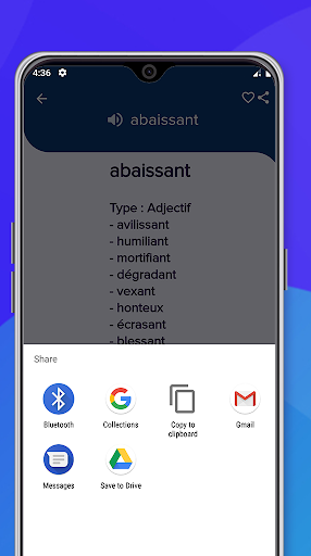 Dictionnaire Francais Synonyme Screen 3