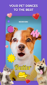 Star's Pets - Apps on Google Play