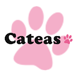 Cateas（キャッティーズ） icon