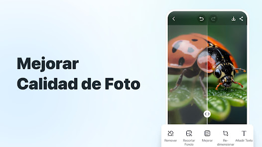 Captura de pantalla