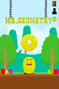 Mr.Geometry