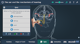 screenshot of The mechanism of hearing 3D