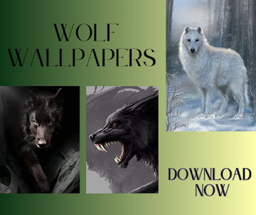 Wolf Wallpaper 4K