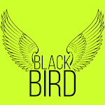 Cover Image of Download Black Bird Studio  APK