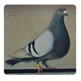 Guide Pouter Pigeons icon