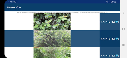 Vivid collection по непр. глаг