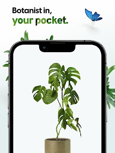 PlantApp – Plant Identifier 12