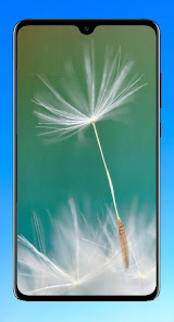 Screenshot 10 Dandelion Wallpaper HD android