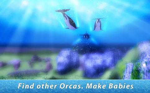 Orca Family Simulator