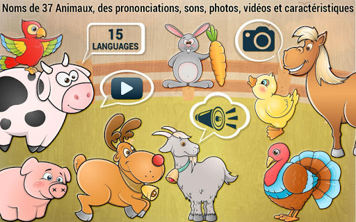 Aperçu de l'application
