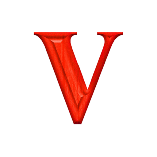 VISION Accounting App logo