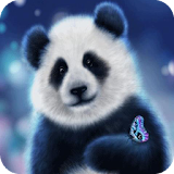 Panda Live WP icon