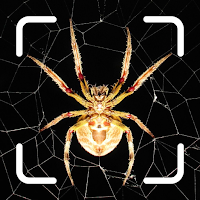 Spiders identifier - Post in Community, InsectID