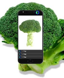 How to Grow Broccoli