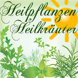 Heilpflanzen / Heilkräuter icon
