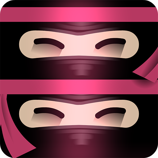 The Last Ninja Twins 9.1.0 Icon