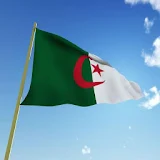 Flag of Algeria icon