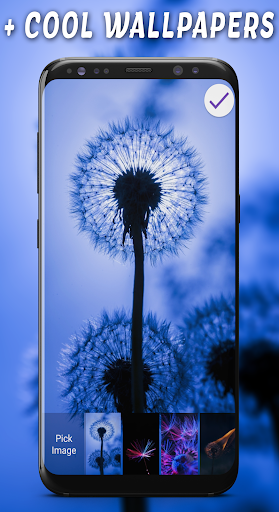 Dandelion Passcode Lock Screen Screenshot 3 - AppWisp.com