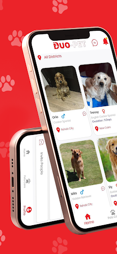 Android application Duo-Pet screenshort