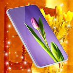 Cover Image of 下载 Tulip Spring 4K Wallpapers  APK