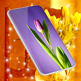 Tulip Spring 4K Wallpapers icon
