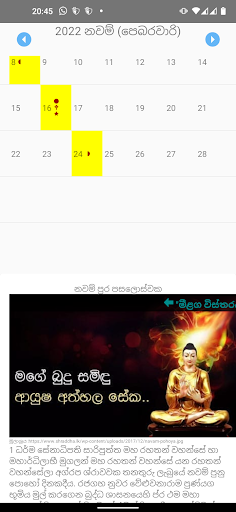 2024 Sinhala calendar Screenshot 4 - AppWisp.com