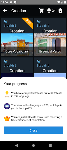 Croatian Language Tests Screen 3