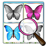 Butterfly matching icon