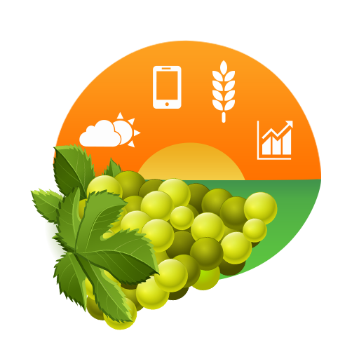 Amigrapes logo